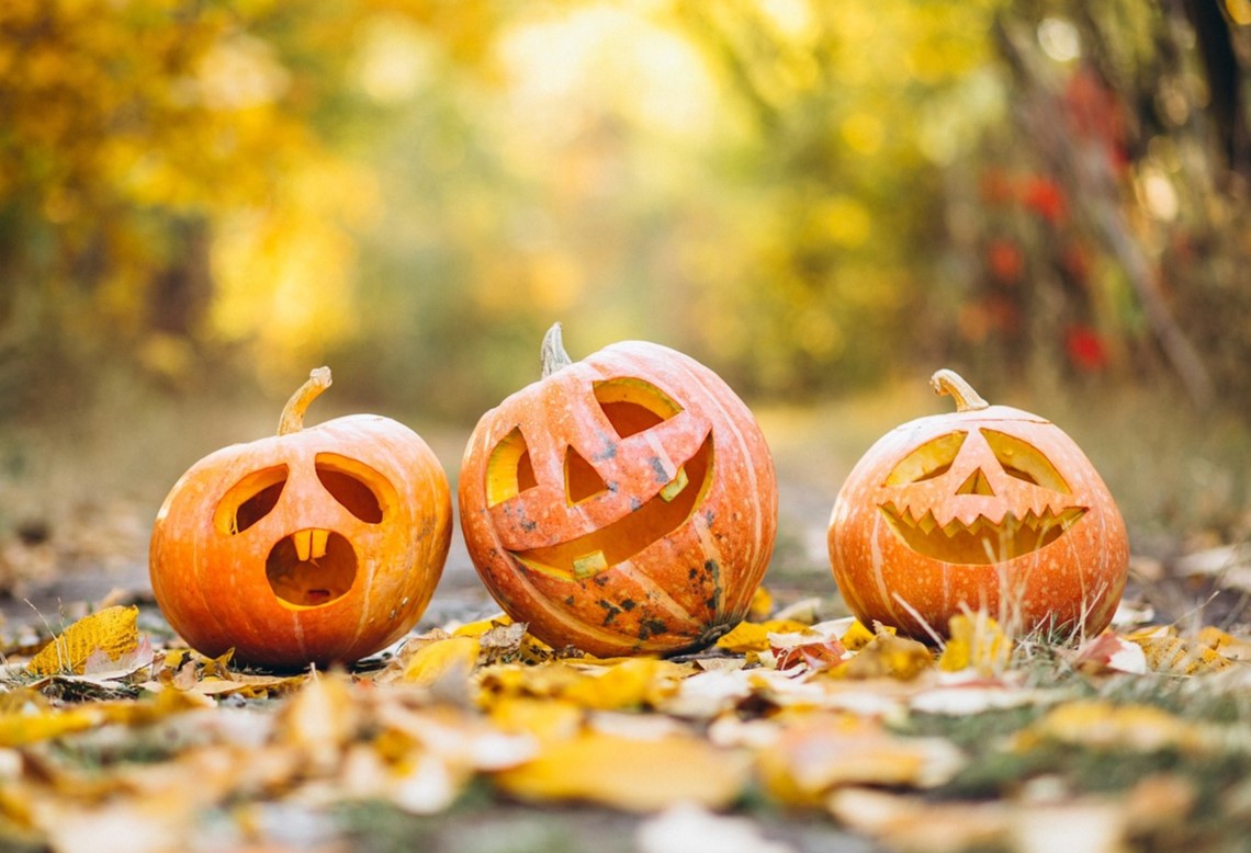 carved pumpkins on a road with leaves