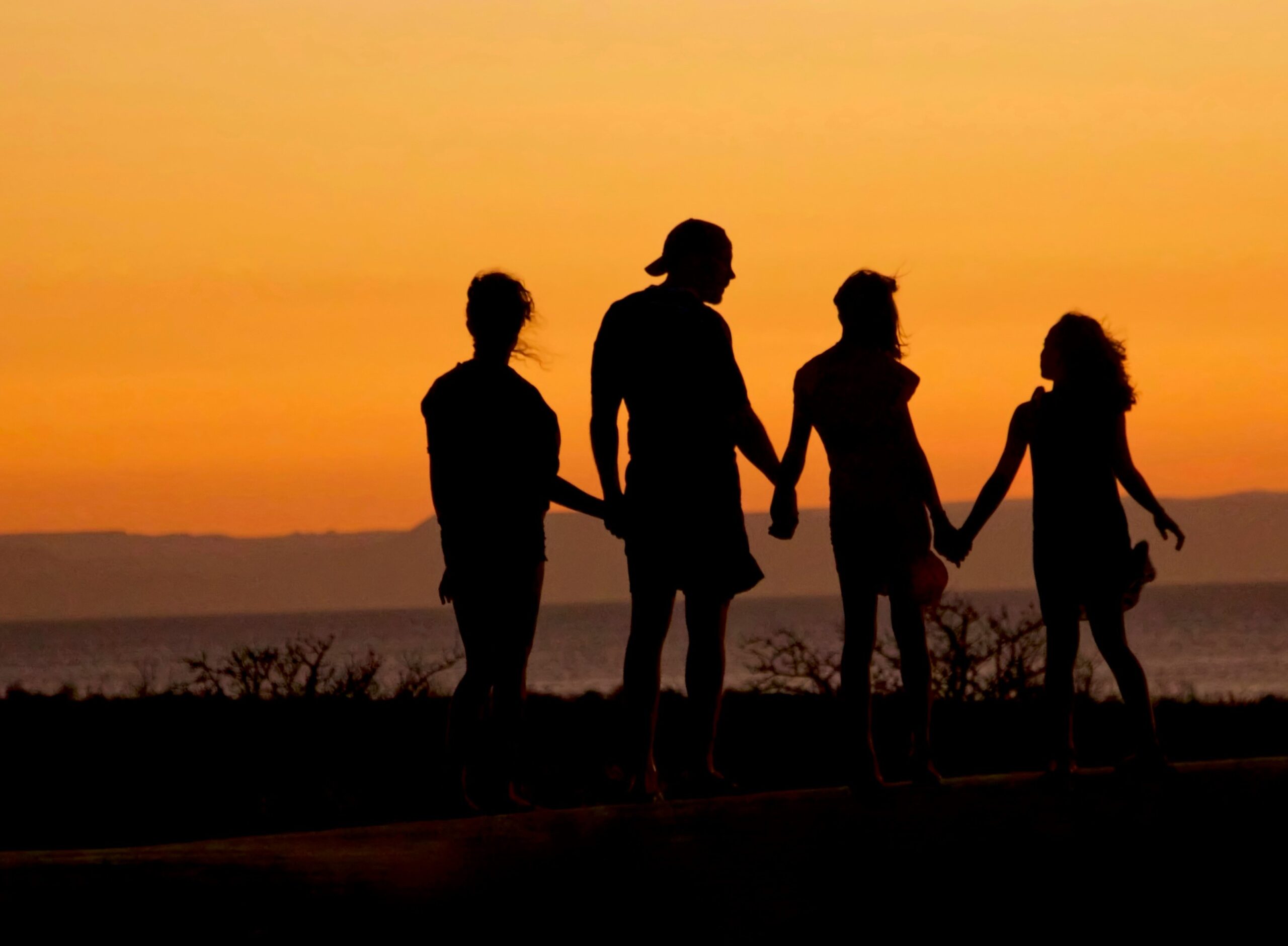 Silhouette of family