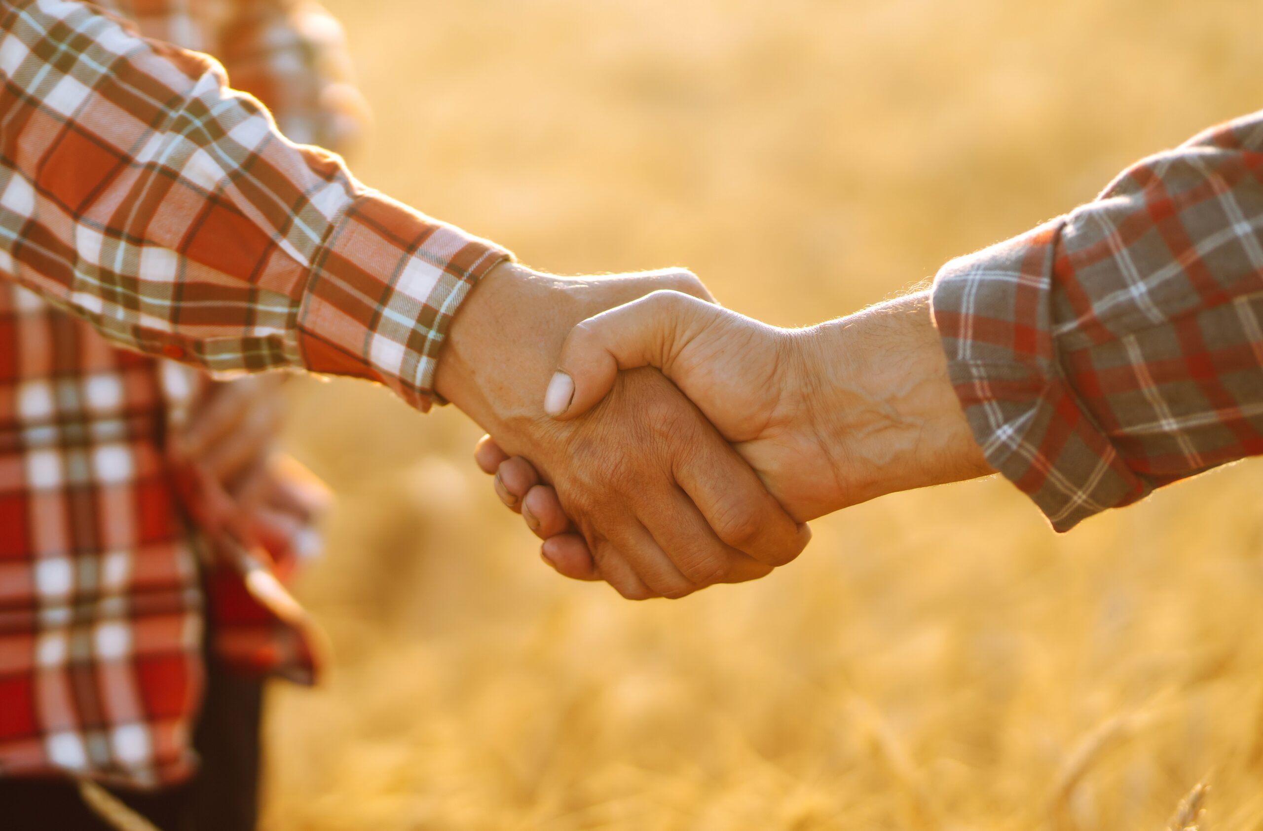 Two farmer handshaking after good deal on the background of a wheat field.