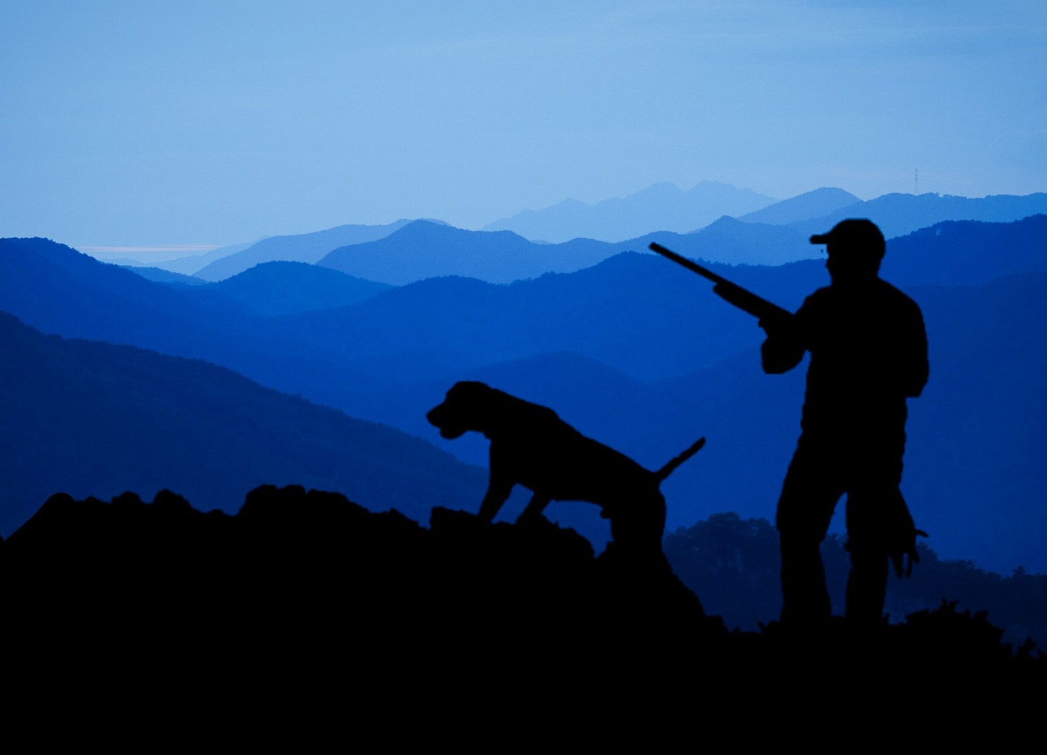 Kidd Family Auctions, Silhouette of hunter with their dog against a mountain skyline.